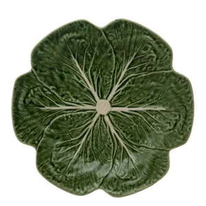 Tanier plytký Cabbage